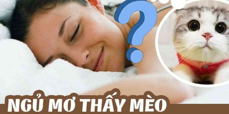 Mèo tượng trưng cho điều gì?